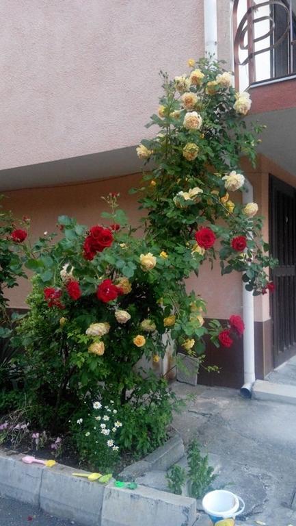 Lazur Hotel Ravda Ngoại thất bức ảnh